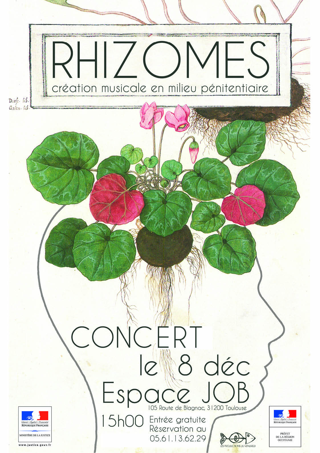 rhizomes-affiche-modif_ld